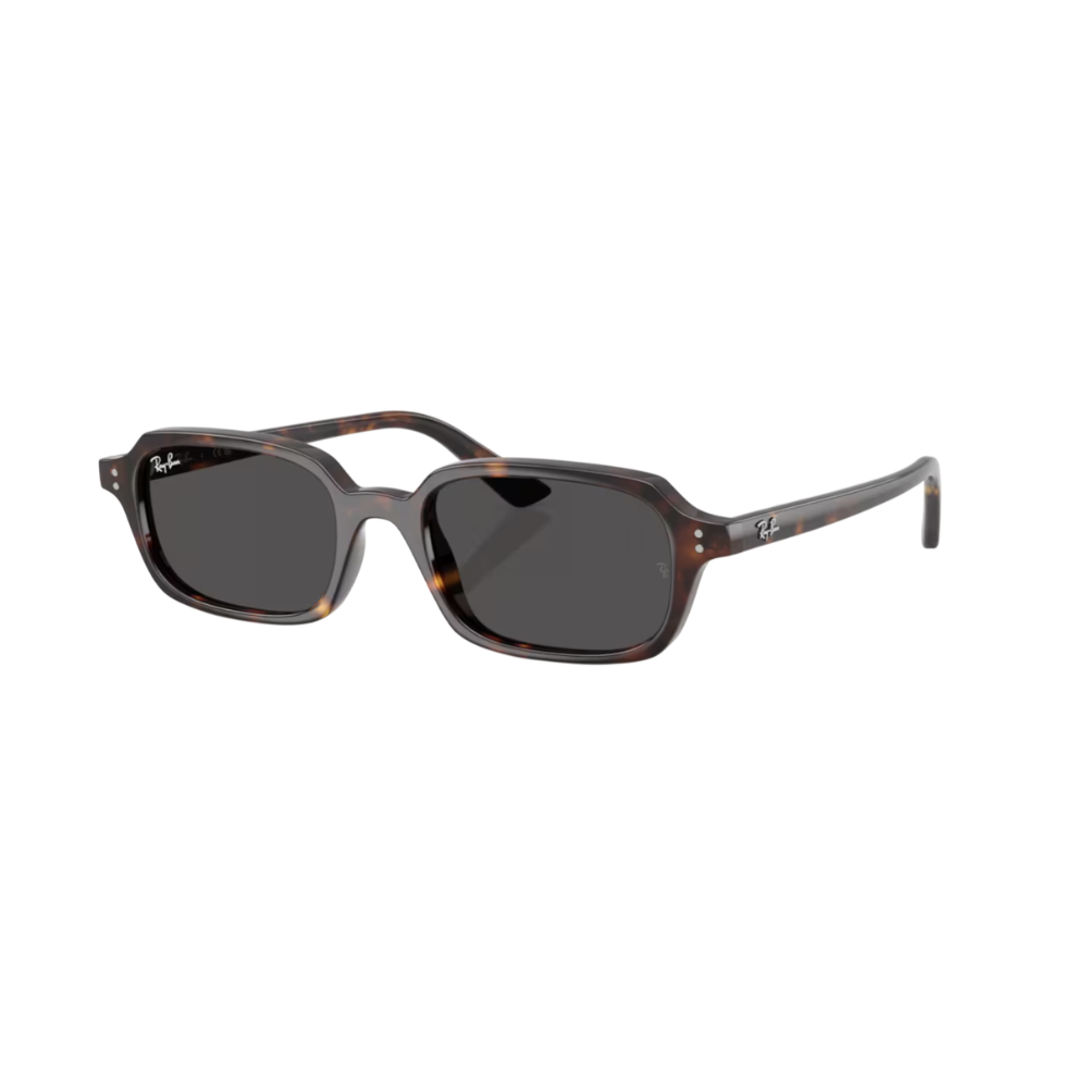 Lunettes de soleil Ray-Ban RB4455 ZURI