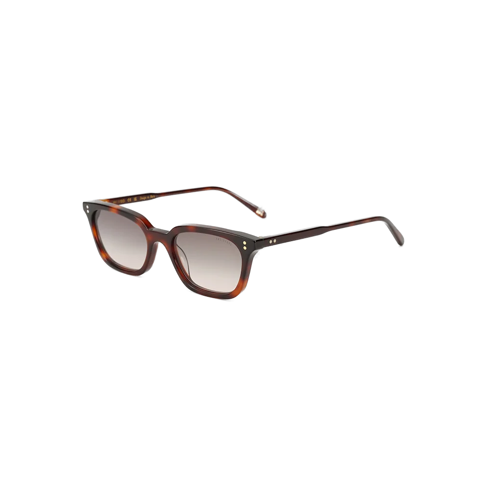 Lunettes de soleil AndyBrook Reese écaille – vue 2