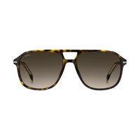 Marron · verres Dégradé brun