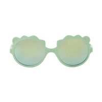 Vert sauge · verres Gris effet miroir