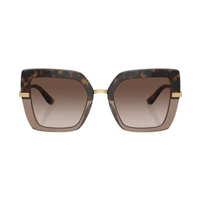 Marron · verres Dégradé brun