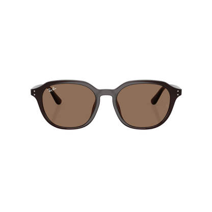 Lunettes de soleil Ray-Ban RB4459D chocolat – vue 1