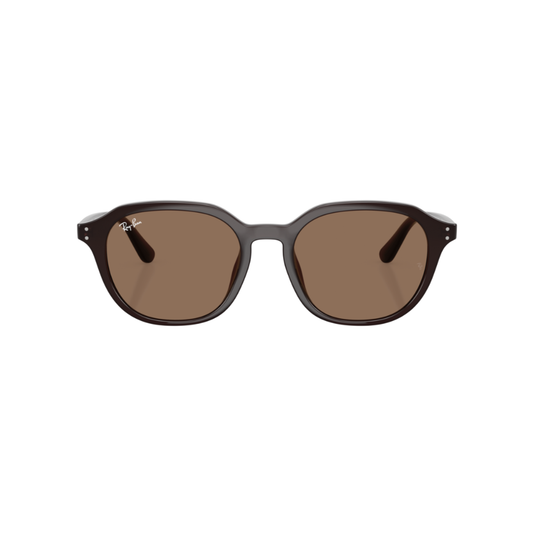 Lunettes de soleil Ray-Ban RB4459D chocolat – vue 1