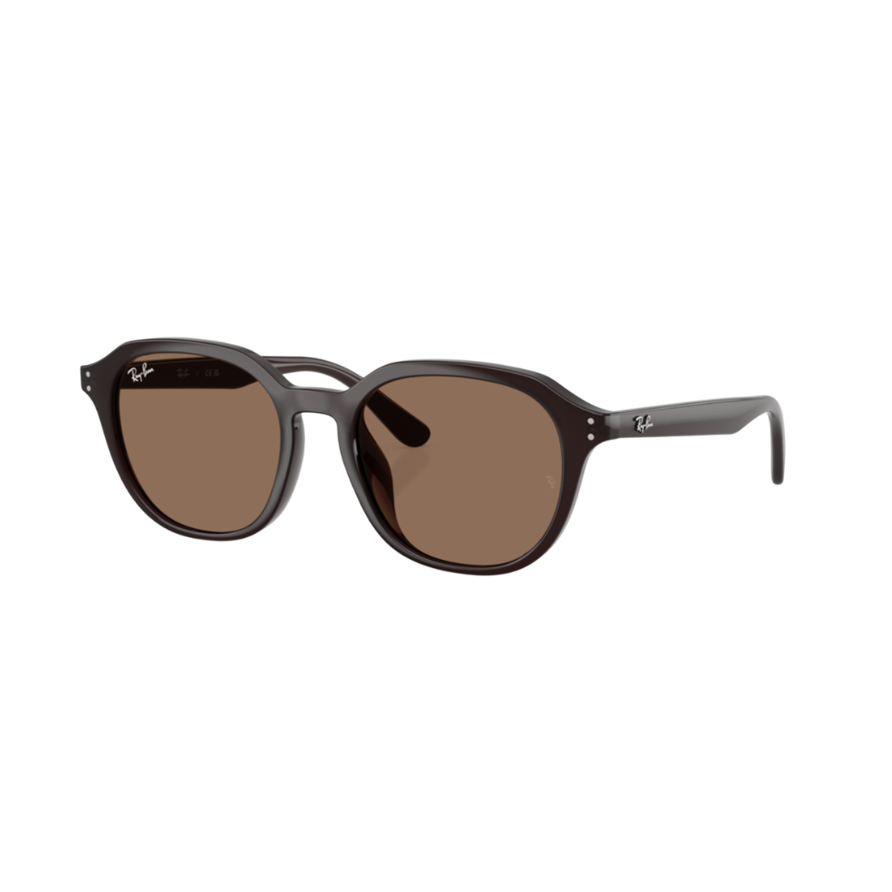 Lunettes de soleil Ray-Ban RB4459D chocolat – vue 2