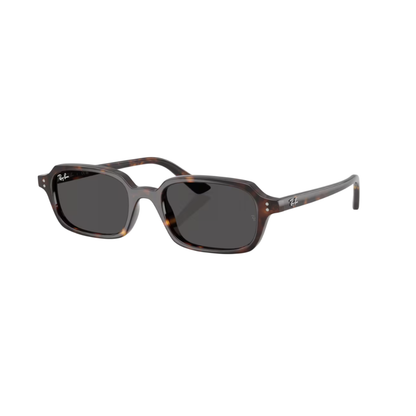 Lunettes de soleil Ray-Ban RB4455 ZURI