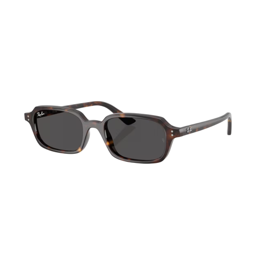 Lunettes de soleil Ray-Ban RB4455 ZURI