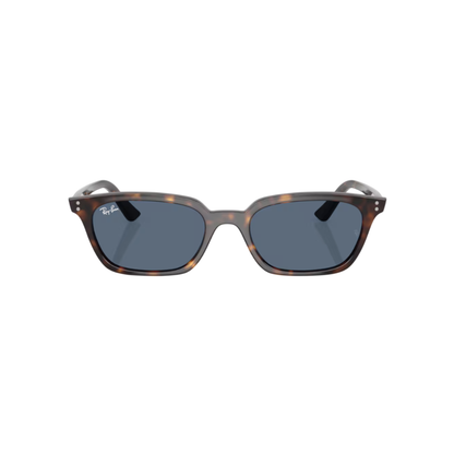 Lunettes de soleil Ray-Ban RB4456 ZAYA - GIUGIU opticiens