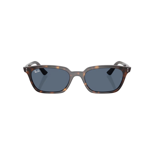 Lunettes de soleil Ray-Ban RB4456 ZAYA - GIUGIU opticiens