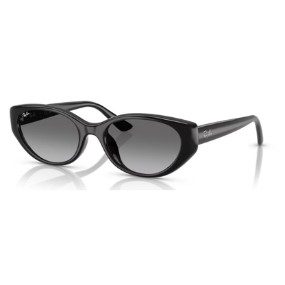 Lunettes de soleil Ray-Ban RB4457D