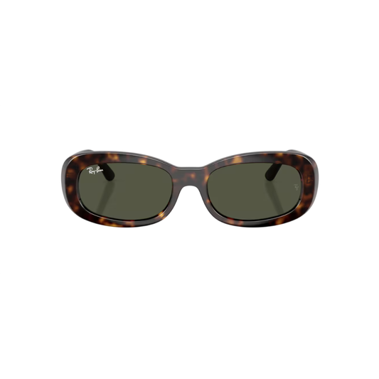 Lunettes de soleil Ray-Ban RB2221 écaille – vue 1
