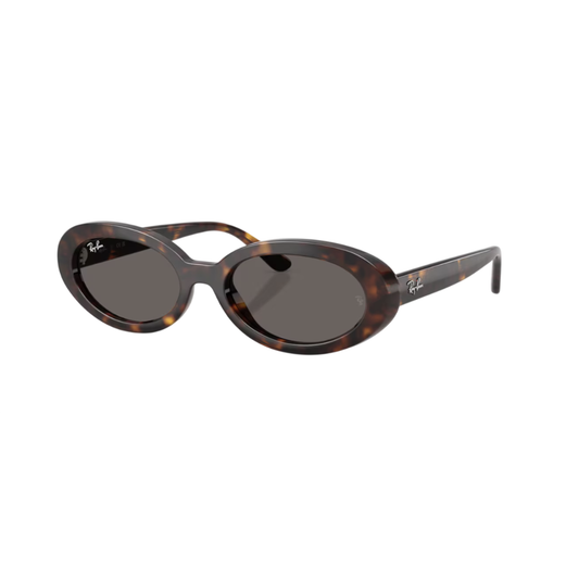 Lunettes de soleil Ray-Ban RB2223 écaille – vue 2