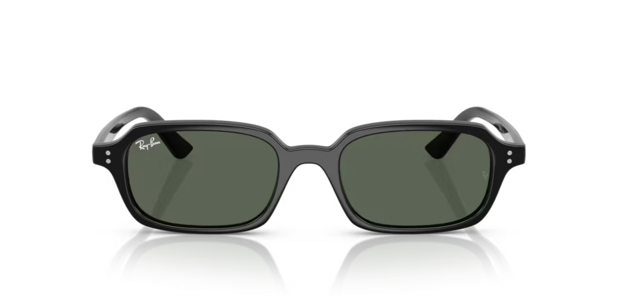Lunettes de soleil Ray-Ban RB4455 Zuri noir – vue 1