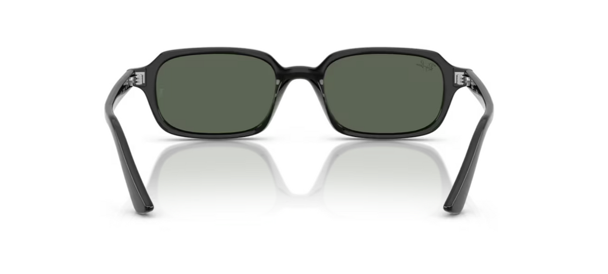 Lunettes de soleil Ray-Ban RB4455 Zuri noir – vue 5