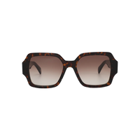 Écaille · verres Dégradé marron
