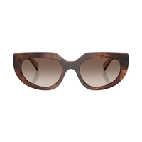 Marron · verres Dégradé marron