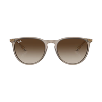 Marron · verres Dégradé brun