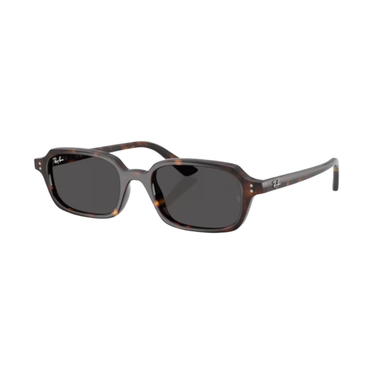Lunettes de soleil Ray-Ban RB4455 Zuri écaille – vue 2